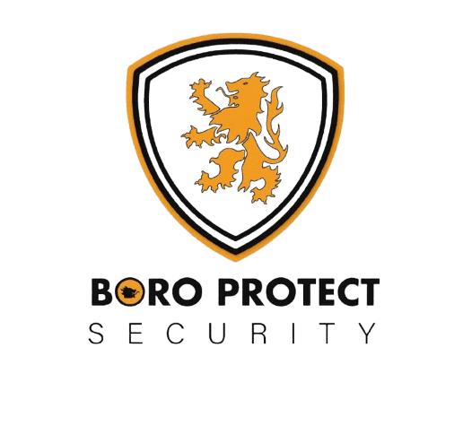 BORO-removebg-preview