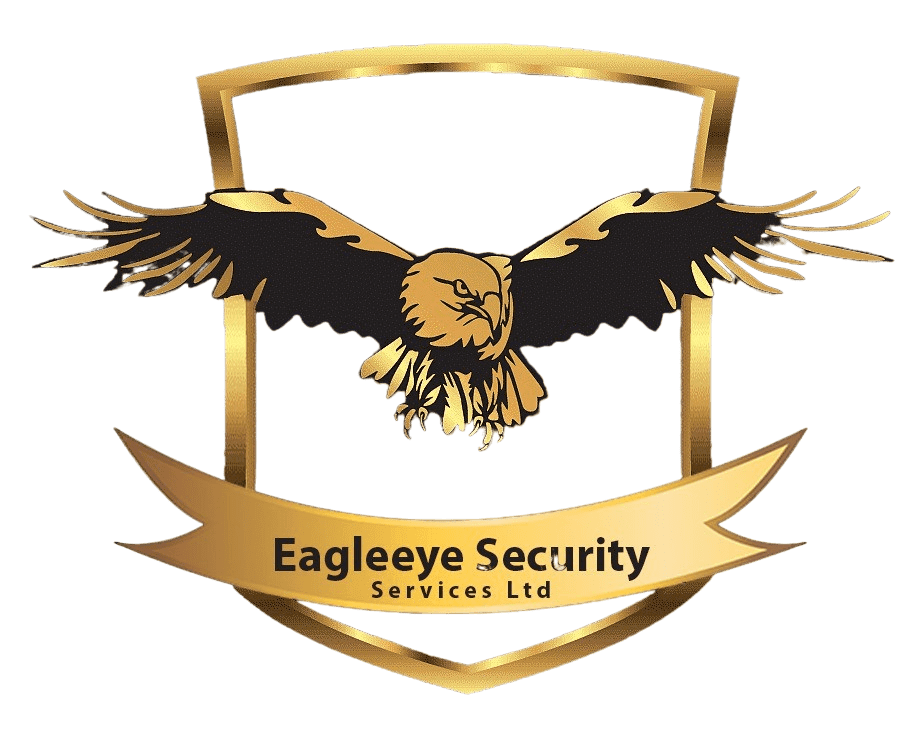 eagleeye security-PhotoRoom.png-PhotoRoom
