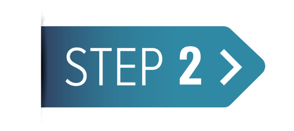 Step 2: Development & Implementation