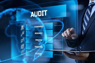 BizGrow QMS Audit