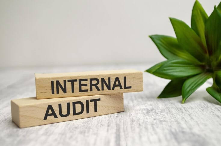 Internal Audits - BizGrow Holdings