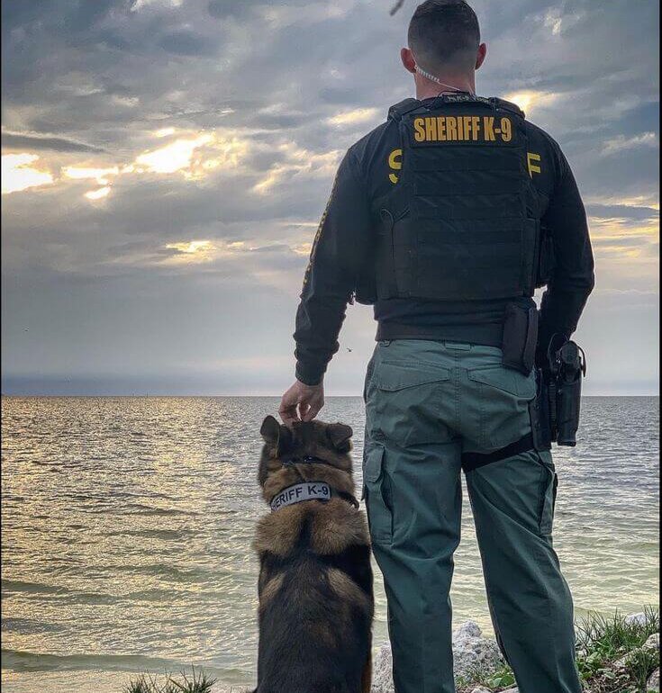 Main Requirements for NASDU Security Certification